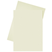 Esselte papieren inlegmap crème A4 (250 stuks) 2103404 203582