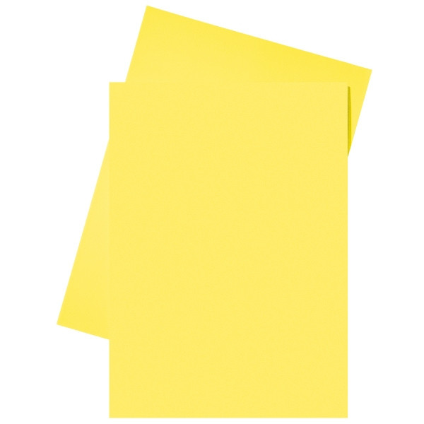 Esselte papieren inlegmap geel A4 (250 stuks) 2103406 203584 - 1