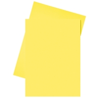 Esselte papieren inlegmap geel A4 (250 stuks) 2103406 203584