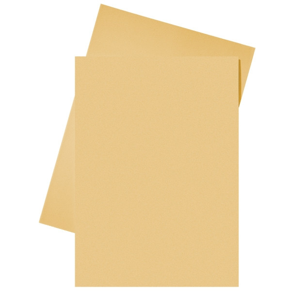 Esselte papieren inlegmap oranje A4 (250 stuks) 2103413 203590 - 1