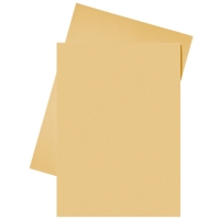Esselte papieren inlegmap oranje A4 (250 stuks) 2103413 203590