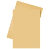 Esselte papieren inlegmap oranje A4 (250 stuks)