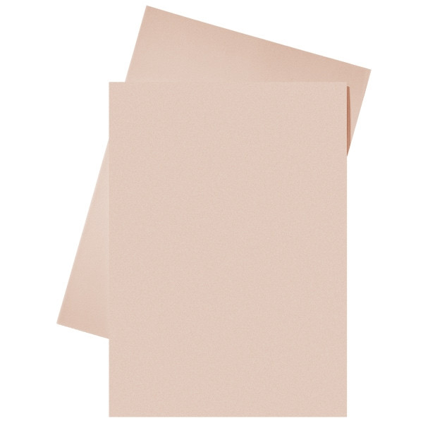 Esselte papieren inlegmap roze A4 (250 stuks) 2103411 203588 - 1