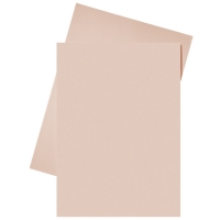 Esselte papieren inlegmap roze A4 (250 stuks) 2103411 203588