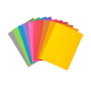 Exacompta Rock's 210 inlegmap A4 assorti (100 stuks) 404672 - 1