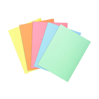 Exacompta Super 60 inlegmap A4 assorti (100 stuks) 404674