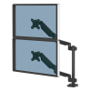 Fellowes Platinum Series monitorarm verticaal voor 2 monitoren zwart (met klem of schroef) 8043401 215001 - 2