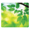 Fellowes muismat bladeren gerecycled 213243 - 1
