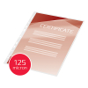 GBC ordner lamineerhoes A4 met perforatie glanzend 2x125 micron (100 stuks) 3743156 207040 - 4