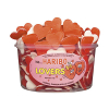 Haribo Liefdesharten silo (150 stuks) 423429 - 1