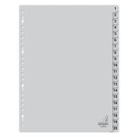 Kangaro extra brede plastic tabbladen A4+ met 20 tabs (23-gaats) G420CM-B 205463