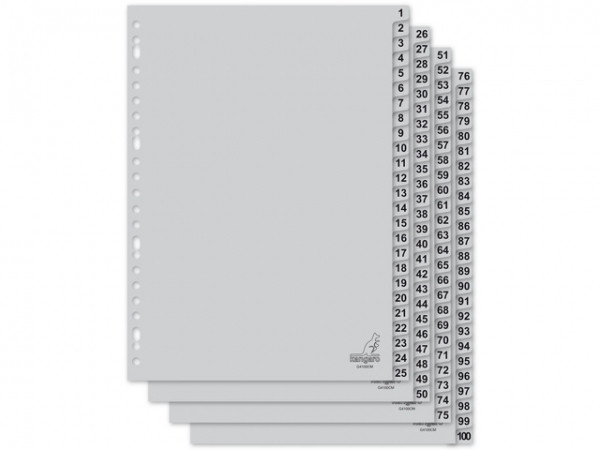 Kangaro plastic indexen A4 grijs met 100 tabs (23-gaats) G4100CM 205474 - 1