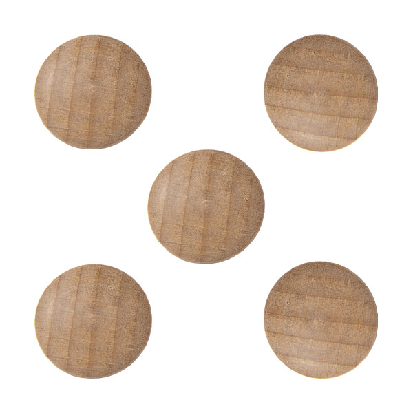 Legamaster Wooden magneten (5 stuks) 7-181725 262083 - 1