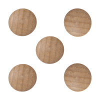 Legamaster Wooden magneten (5 stuks) 7-181725 262083