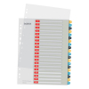 Leitz Cosy bedrukbare kartonnen tabbladen A4 met 20 tabs (11-gaats) 12490000 226369