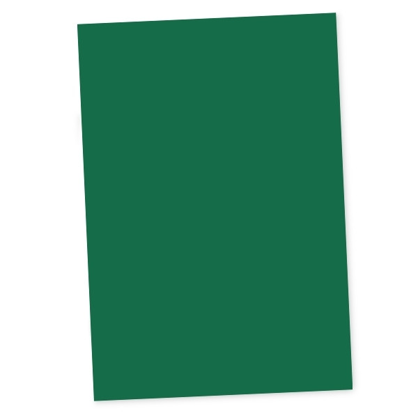 Maul magnetisch vel groen (20 x 30 cm) 6526155 402057 - 1