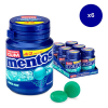 Mentos Breeze Mint gum bottle (6 stuks) 224671 423709 - 2
