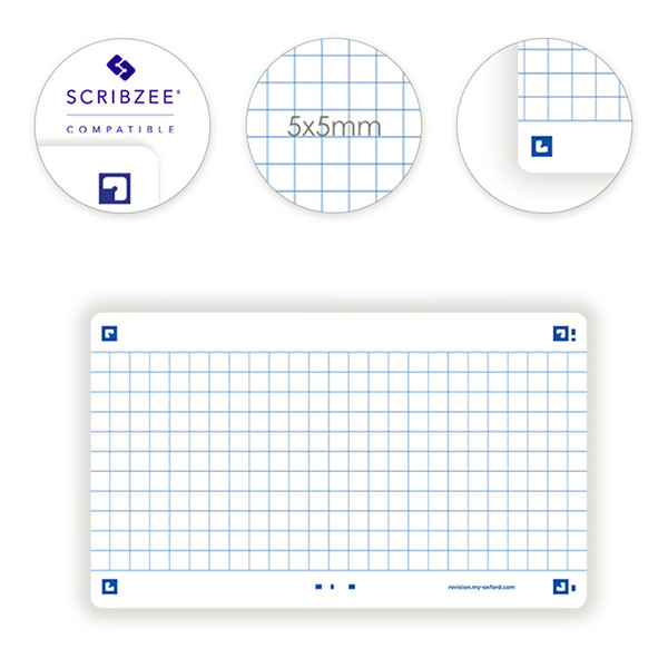 Oxford Flashcards geruit A7 wit (80 stuks) 400133874 260216 - 3