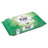 Page vochtig toiletpapier Aloë Vera (42 doekjes) 35213414 SPA00034
