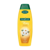 Palmolive Elke Dag shampoo (350 ml)