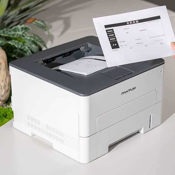 Pantum P3020D A4 laserprinter zwart-wit 848696 - 5