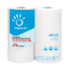 Papernet keukenrol 2-laags 2 x 48 vel P409132 423199