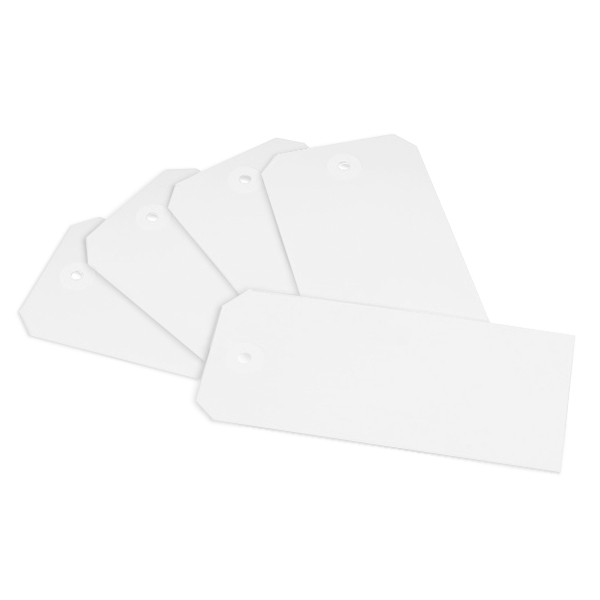 Raadhuis labels met ophangoog 55 x 120 mm wit (250 stuks) RD-351169 209351 - 1