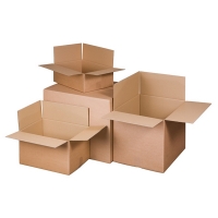 Raadhuis verzenddoos 305 x 220 x 250 mm (10 stuks) RD-351127-10 209289