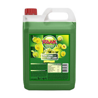 Raak limonadesiroop reine claude (5000 ml) 423398
