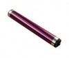 Ricoh A0179590 drum (origineel) 074512 - 1