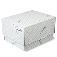 Rillstab 17949 kettingpapier 2-voud 240 mm x 12 inch wit 1.000 vel (60 grams ) 17949 068000