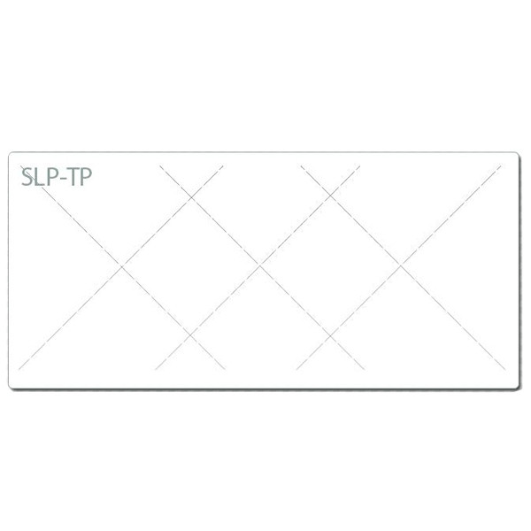 Seiko SLP-TP fraudebestendige etiketten 54 x 25 mm (760 etiketten) 42100658 149082 - 1