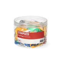 Staples Sleutellabel Assorti (100 stuks) 298007