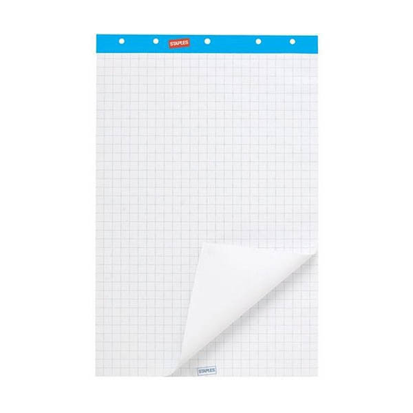 Staples flipoverblok blanco/ruit 65 x 100 cm (2 x 50 vel) 100060660 302900 - 1