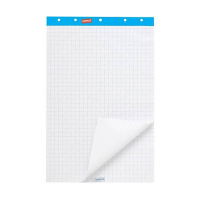 Staples flipoverblok blanco/ruit 65 x 100 cm (2 x 50 vel) 100060660 302900