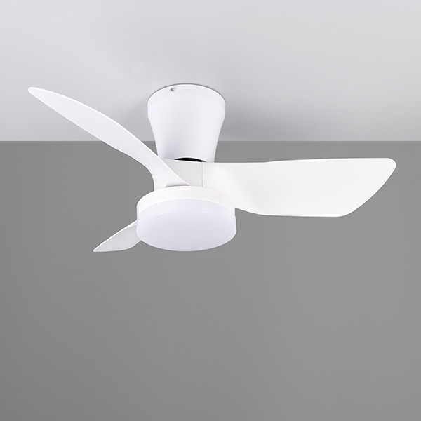 Plafondventilator met LED lamp | Randers | Ø 76 cm | 2700-6000K | Wit | 20W | Trio Lighting LTR00716 - 1