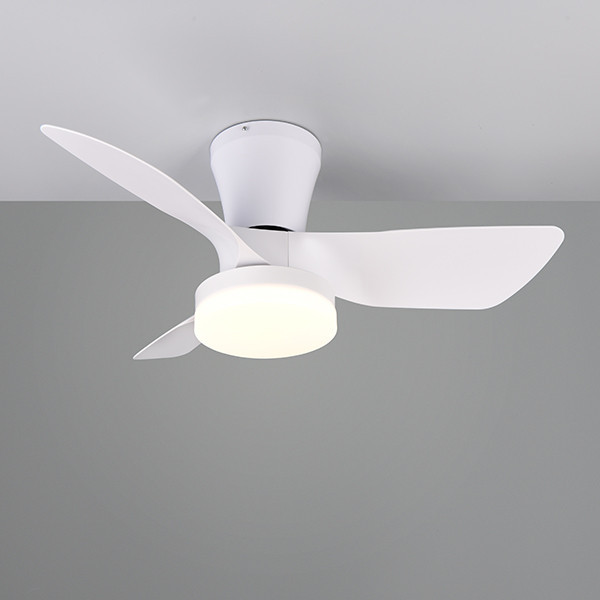 Plafondventilator met LED lamp | Randers | Ø 76 cm | 2700-6000K | Wit | 20W | Trio Lighting LTR00716 - 3