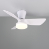 Plafondventilator met LED lamp | Randers | Ø 76 cm | 2700-6000K | Wit | 20W | Trio Lighting LTR00716 - 3