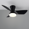 Plafondventilator met LED lamp | Randers | Ø 76 cm | 2700-6000K | Zwart | 20W | Trio Lighting LTR00717 - 2