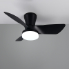 Plafondventilator met LED lamp | Randers | Ø 76 cm | 2700-6000K | Zwart | 20W | Trio Lighting LTR00717 - 3