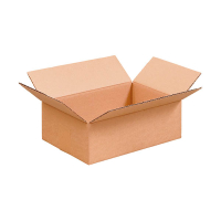 Amerikaanse vouwdoos enkelgolf C-golf 400 x 300 x 100 mm (80 stuks) 209698