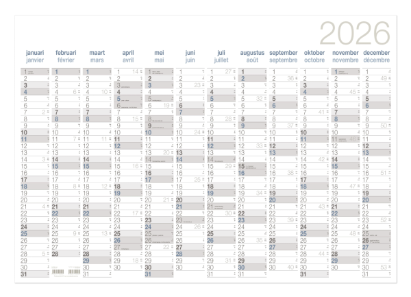 Annoplan jaarplanner 700 x 1000 mm 2-talig 202561 - 1