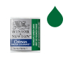 Winsor & Newton Cotman aquarelverf 312 hookers green dark (halve nap)