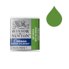 Winsor & Newton Cotman aquarelverf 599 sap green (halve nap) 410499 - 1
