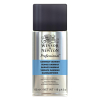 Winsor & Newton Dammar olieverf vernisspray (150 ml)