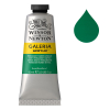 Winsor & Newton Galeria acrylverf 484 permanent green middle (60 ml) 410036 - 1