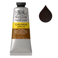 Winsor & Newton Galeria acrylverf 76 burnt umber (60 ml) 2120076 410004