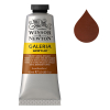 Winsor & Newton Galeria acrylverf 77 burnt sienna opaque (60 ml) 410003 - 1