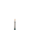 Winsor & Newton Winton olieverfpenseel plat kort (nummer 1)