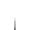 Winsor & Newton Winton olieverfpenseel rond (nummer 3)